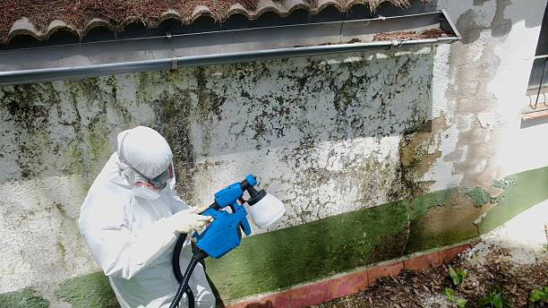 Top rated local Mold Remediation specialists in Fulton, MD
